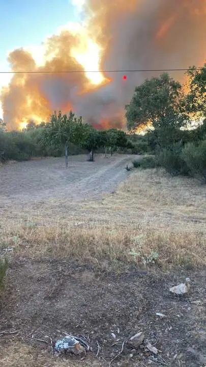 incendio en R&aacute;bano de Aliste (7)