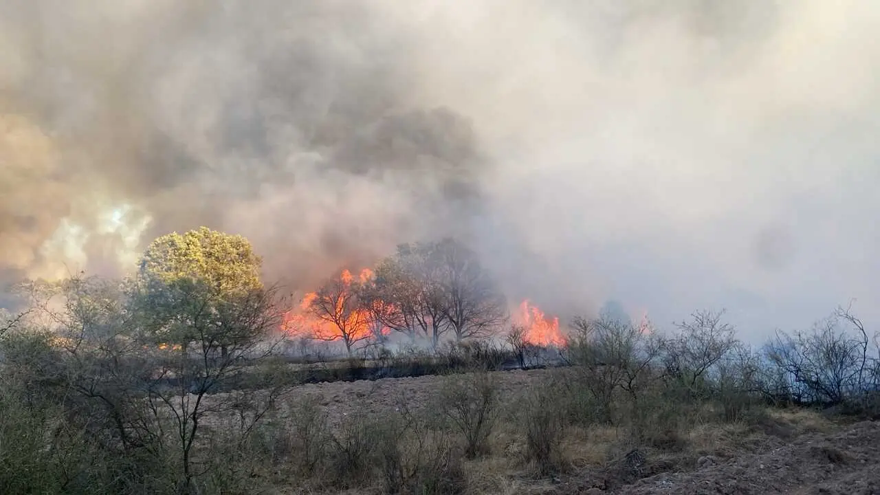 incendio en R&aacute;bano de Aliste (10)