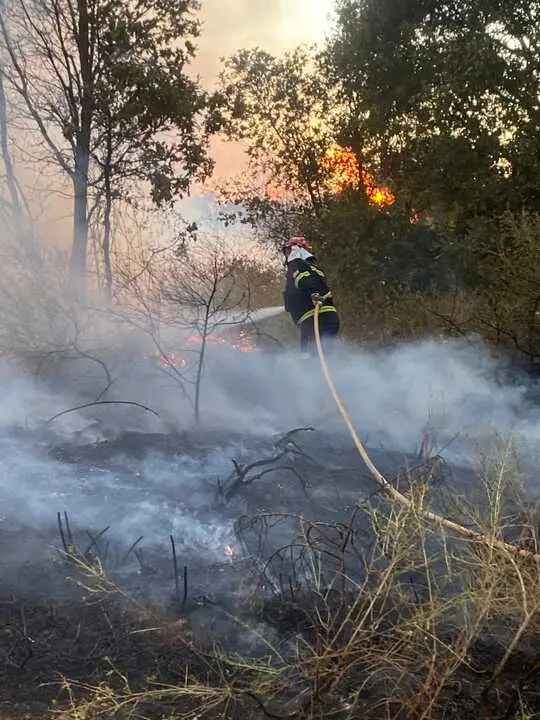 incendio en R&aacute;bano de Aliste (12)