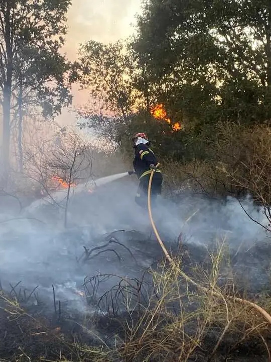 incendio en R&aacute;bano de Aliste (13)
