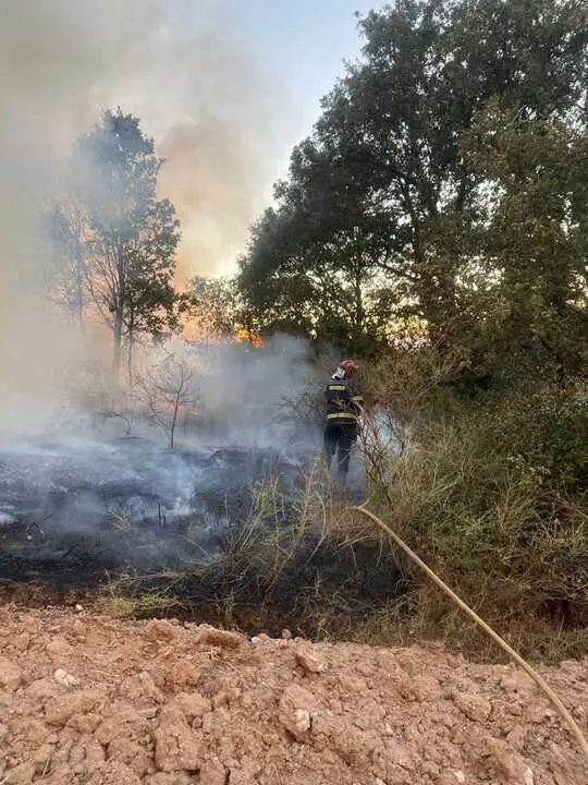 incendio en R&aacute;bano de Aliste (14)
