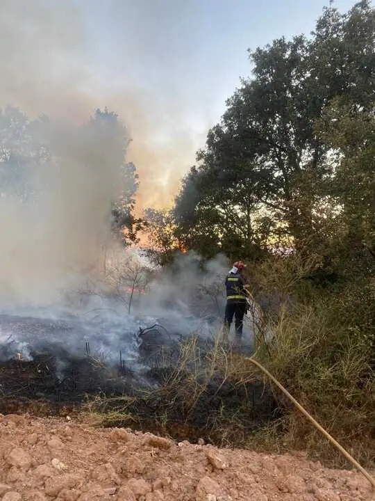 incendio en R&aacute;bano de Aliste (15)