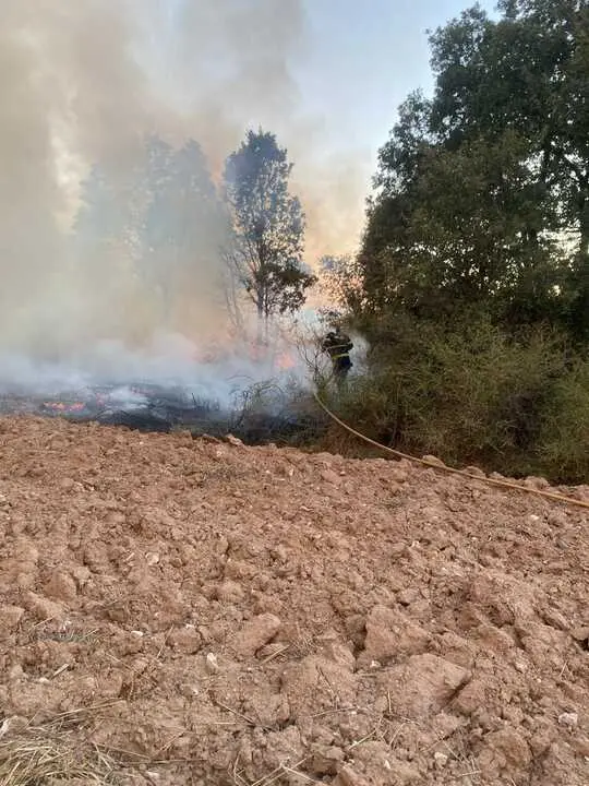 incendio en R&aacute;bano de Aliste (16)