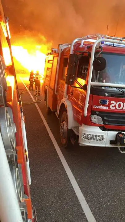 incendio en R&aacute;bano de Aliste (18)