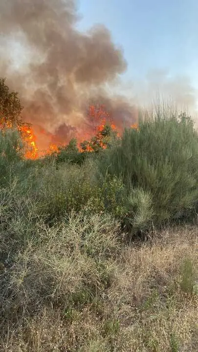 incendio en R&aacute;bano de Aliste (19)