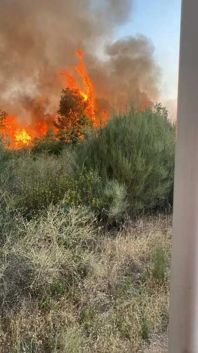 incendio en R&aacute;bano de Aliste (20)