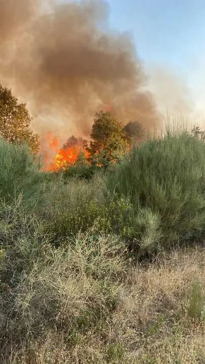 incendio en R&aacute;bano de Aliste (21)