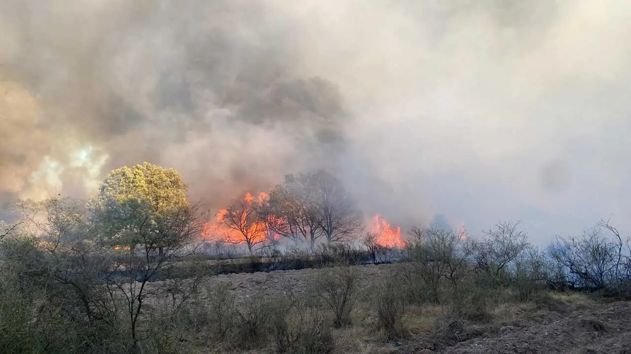 incendio en R&aacute;bano de Aliste (23)
