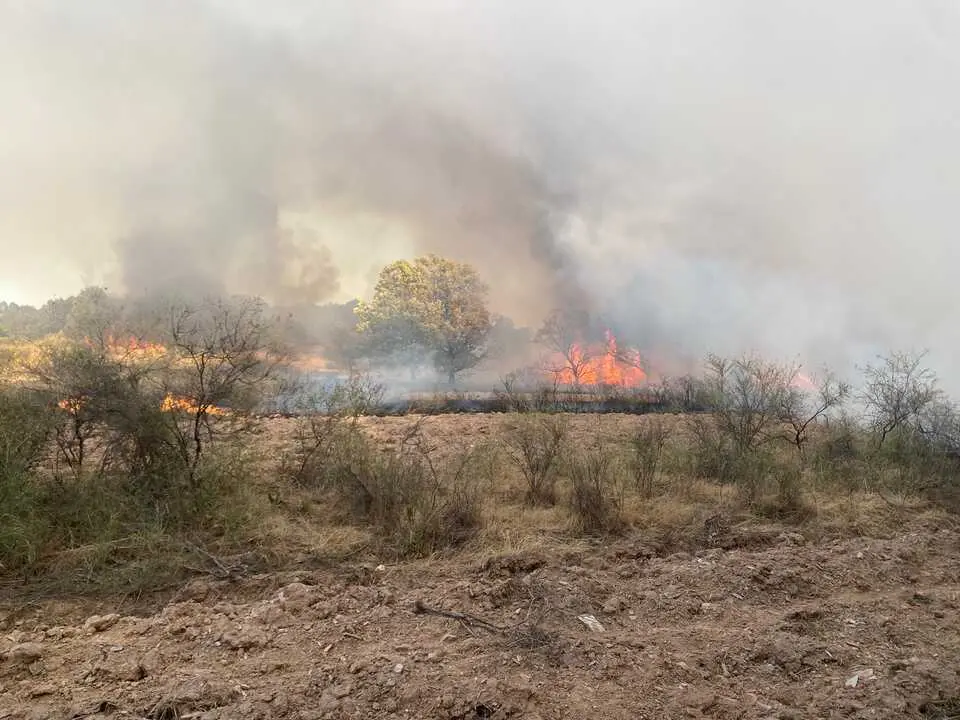 incendio en R&aacute;bano de Aliste (25)