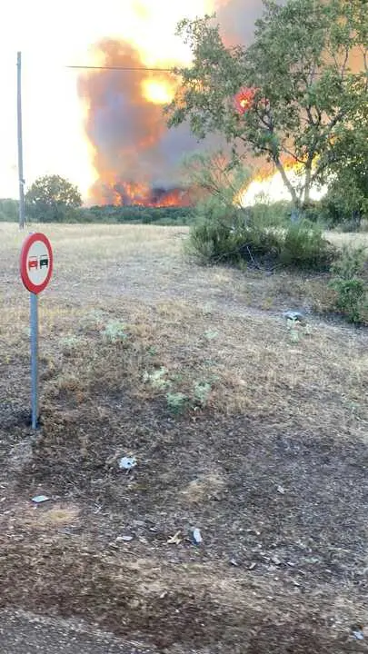 incendio en R&aacute;bano de Aliste (29)
