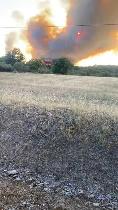 incendio en R&aacute;bano de Aliste (30)