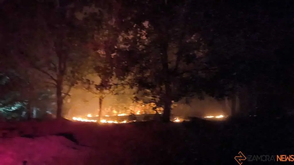 Incendio R&aacute;bano de Aliste _3
