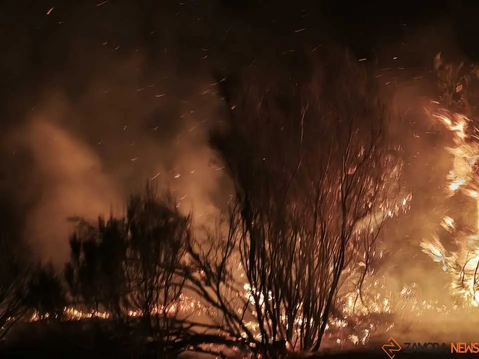 Incendio R&aacute;bano de Aliste _11