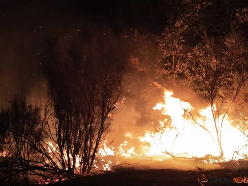 Incendio R&aacute;bano de Aliste _12