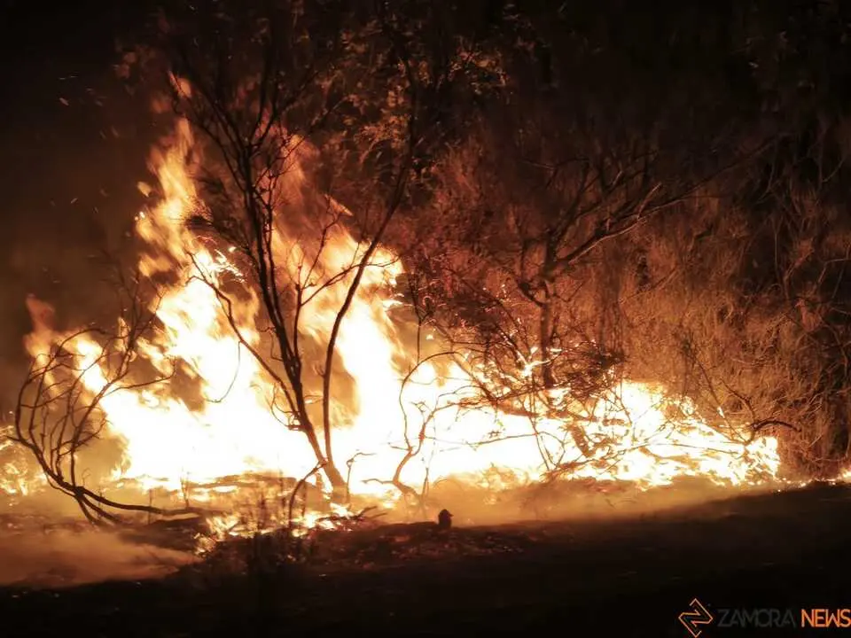 Incendio R&aacute;bano de Aliste _13