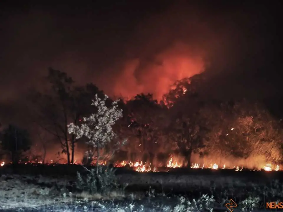 Incendio R&aacute;bano de Aliste _17