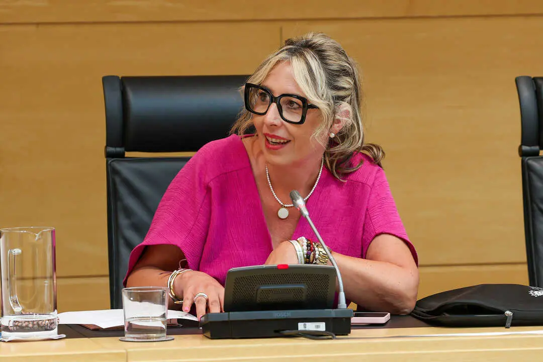 PATRICIA MART&Iacute;N, PROCURADORA DEL PSOE ZAMORA