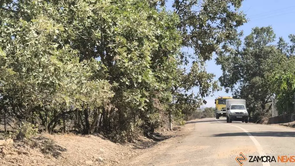 incendio forestal R&aacute;bano de Aliste _3