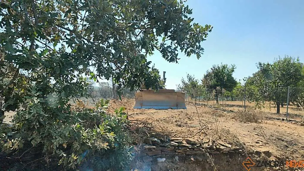 incendio forestal R&aacute;bano de Aliste _5