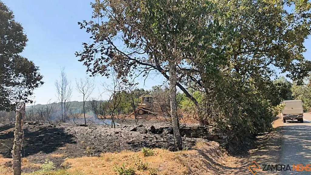 incendio forestal R&aacute;bano de Aliste _7