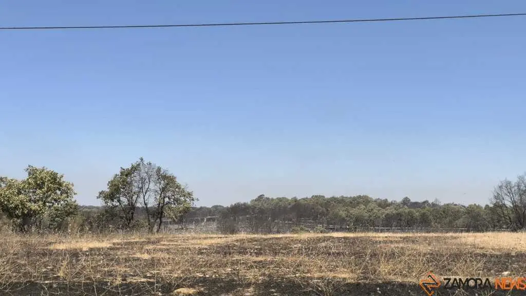 incendio forestal R&aacute;bano de Aliste _9