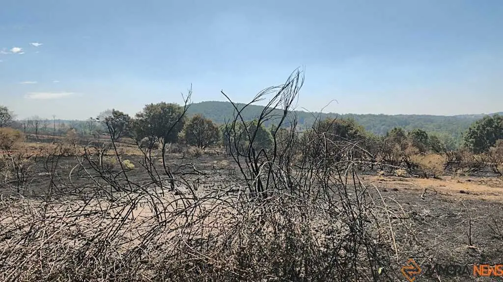 incendio forestal R&aacute;bano de Aliste _11