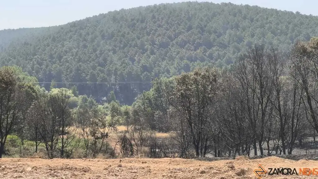incendio forestal R&aacute;bano de Aliste _14