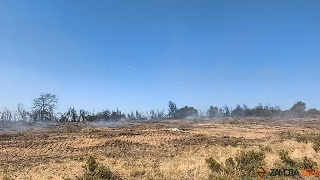 incendio forestal R&aacute;bano de Aliste _16