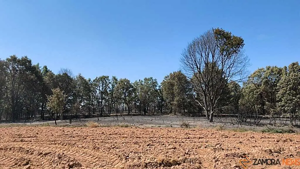 incendio forestal R&aacute;bano de Aliste _18