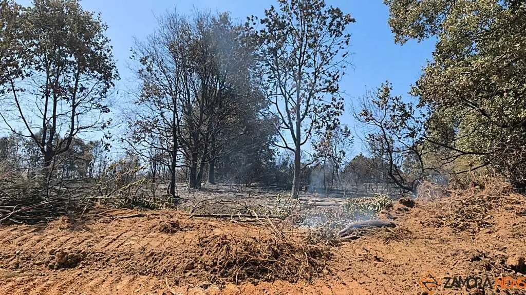 incendio forestal R&aacute;bano de Aliste _21