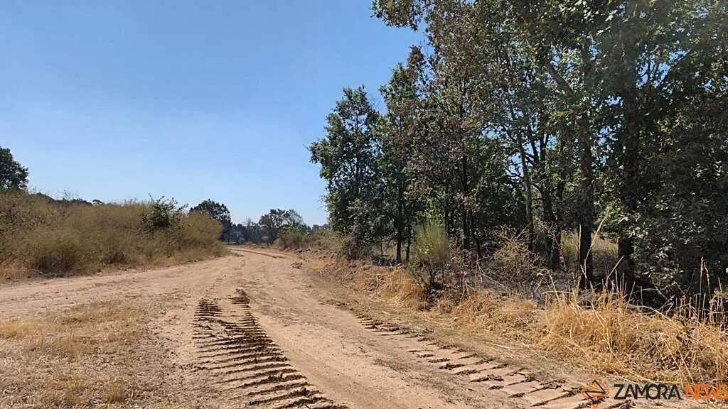 incendio forestal R&aacute;bano de Aliste _23