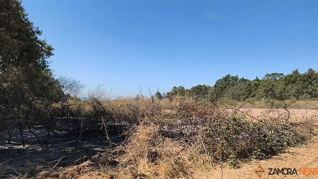 incendio forestal R&aacute;bano de Aliste _24