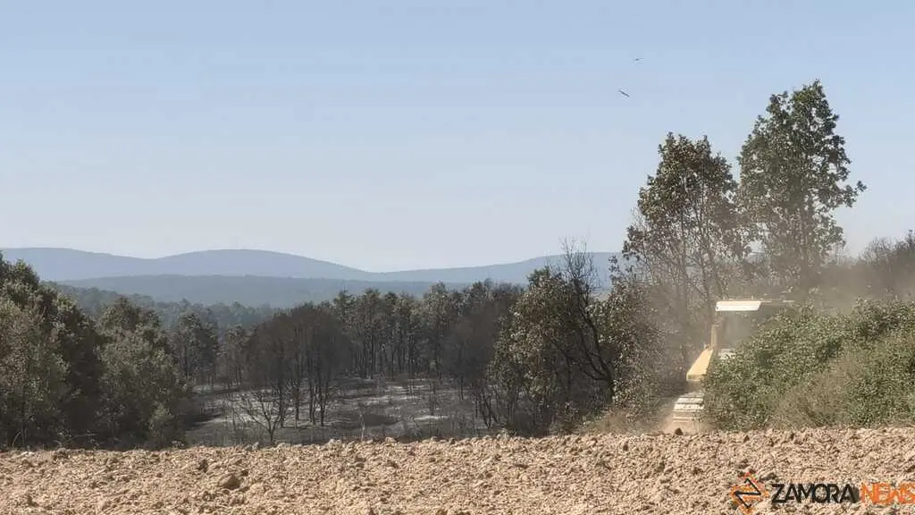 incendio forestal R&aacute;bano de Aliste _26