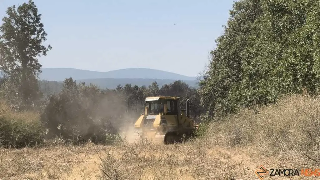 incendio forestal R&aacute;bano de Aliste _28