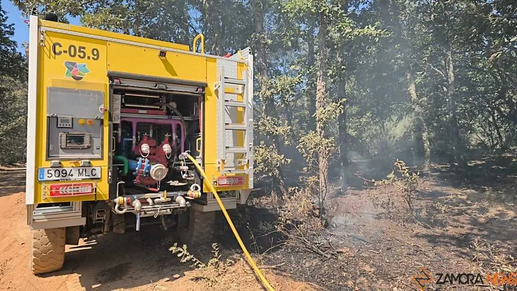 incendio forestal R&aacute;bano de Aliste _34