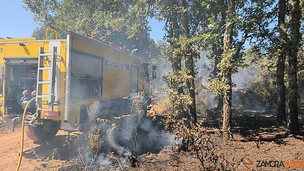 incendio forestal R&aacute;bano de Aliste _35