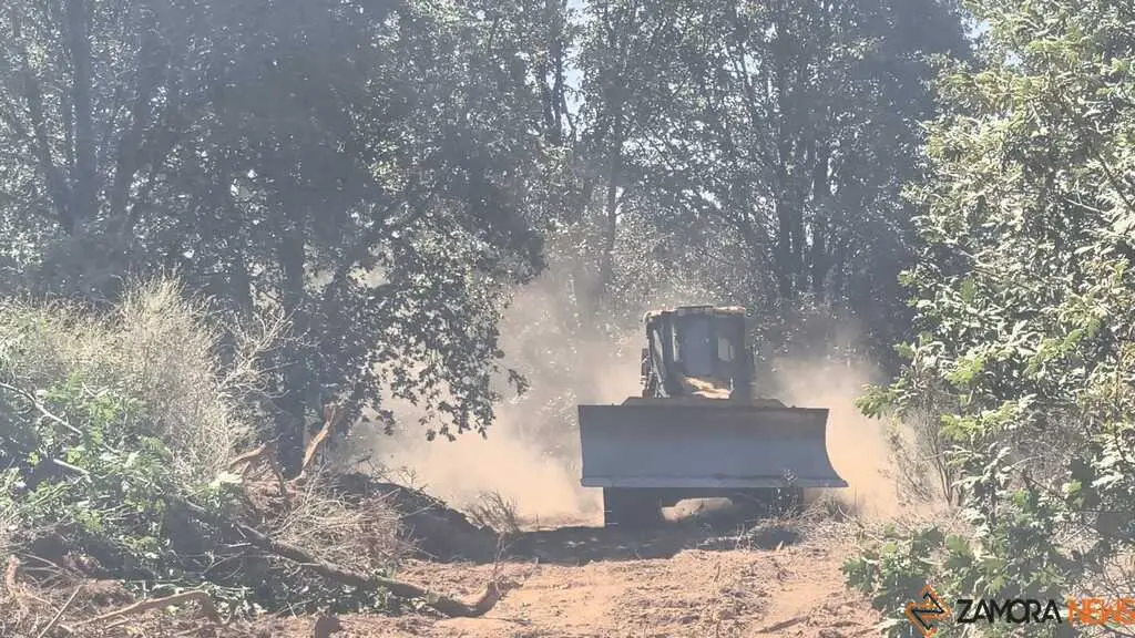 incendio forestal R&aacute;bano de Aliste _36