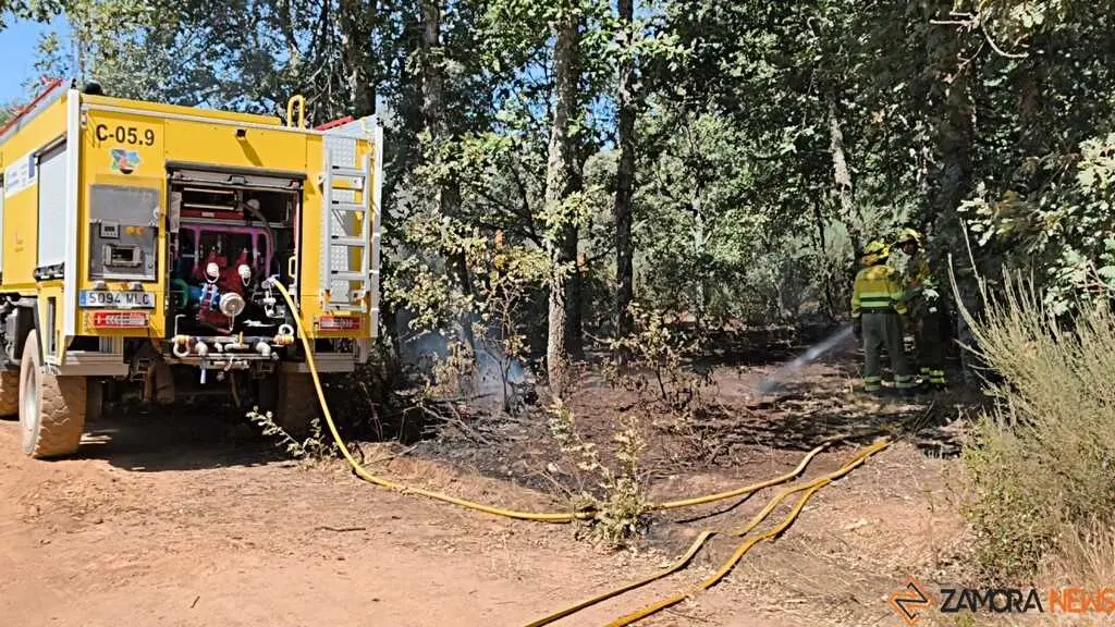 incendio forestal R&aacute;bano de Aliste _40