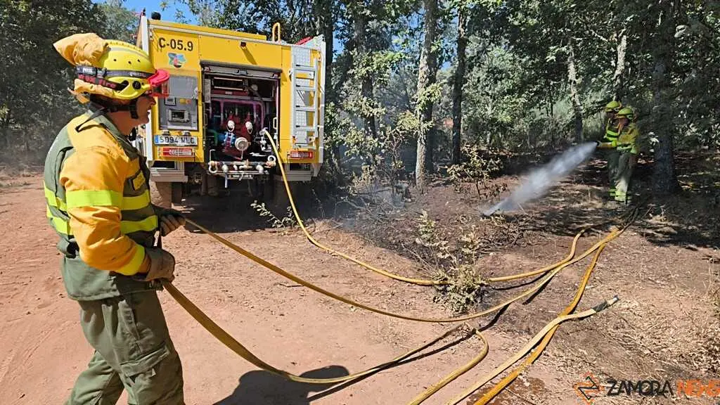 incendio forestal R&aacute;bano de Aliste _42