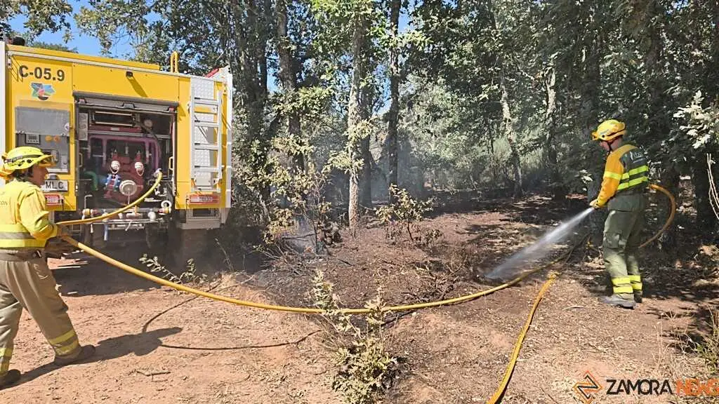 incendio forestal R&aacute;bano de Aliste _44