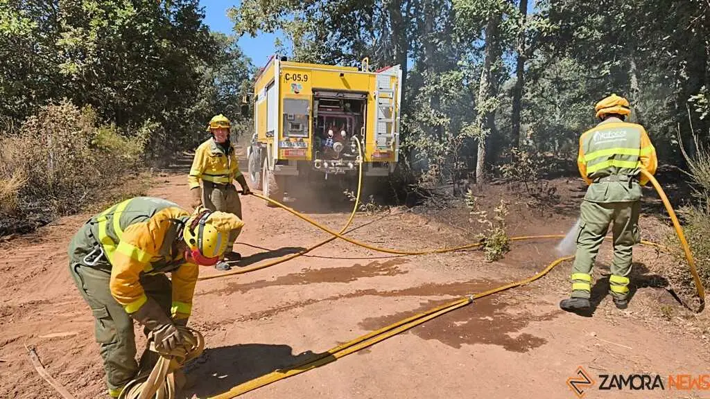 incendio forestal R&aacute;bano de Aliste _45