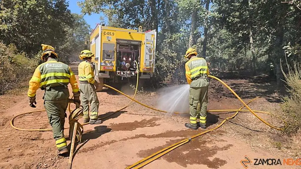 incendio forestal R&aacute;bano de Aliste _46