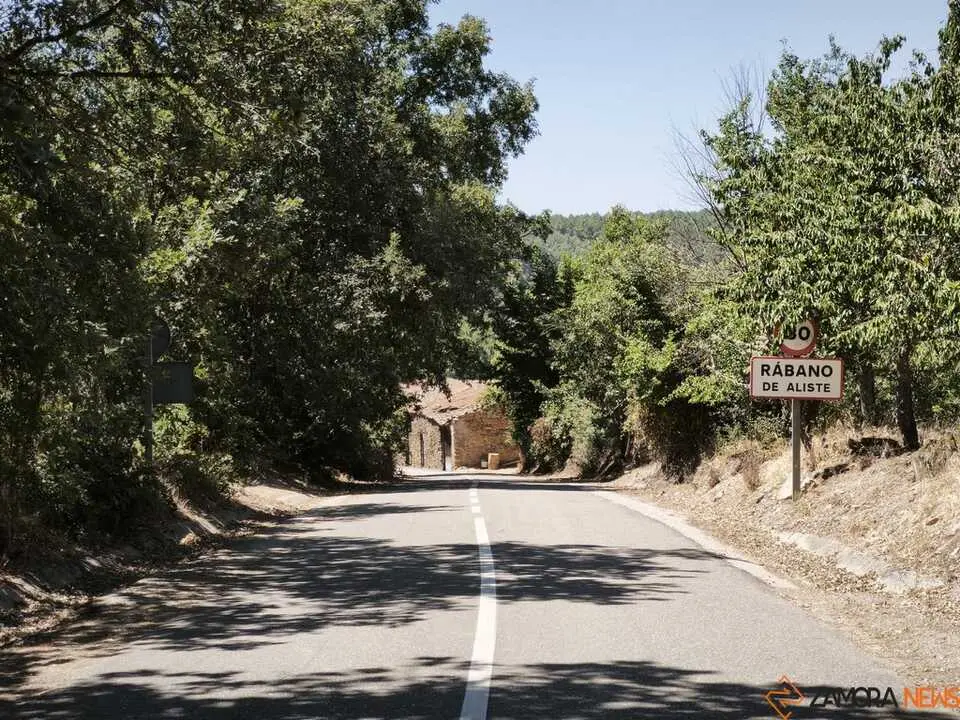 incendio forestal R&aacute;bano de Aliste 