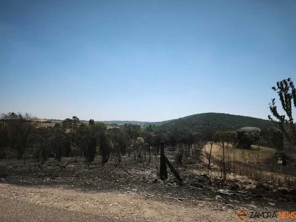 incendio forestal R&aacute;bano de Aliste _2