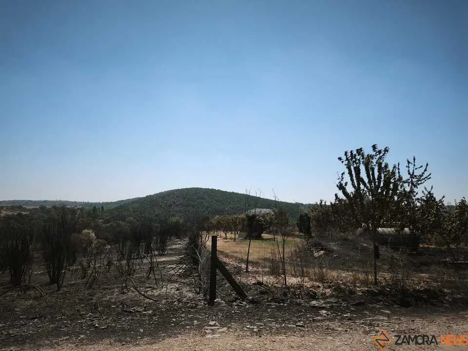 incendio forestal R&aacute;bano de Aliste _3