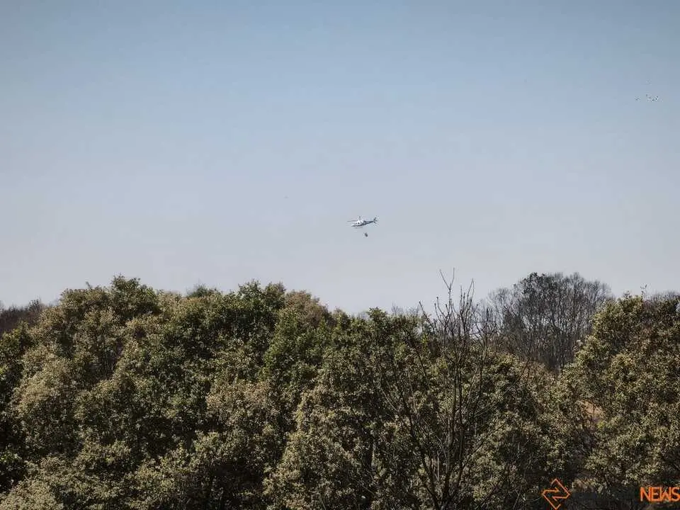incendio forestal R&aacute;bano de Aliste _4