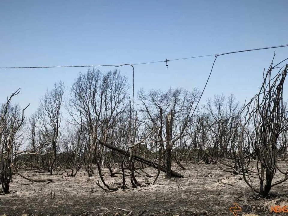 incendio forestal R&aacute;bano de Aliste _5