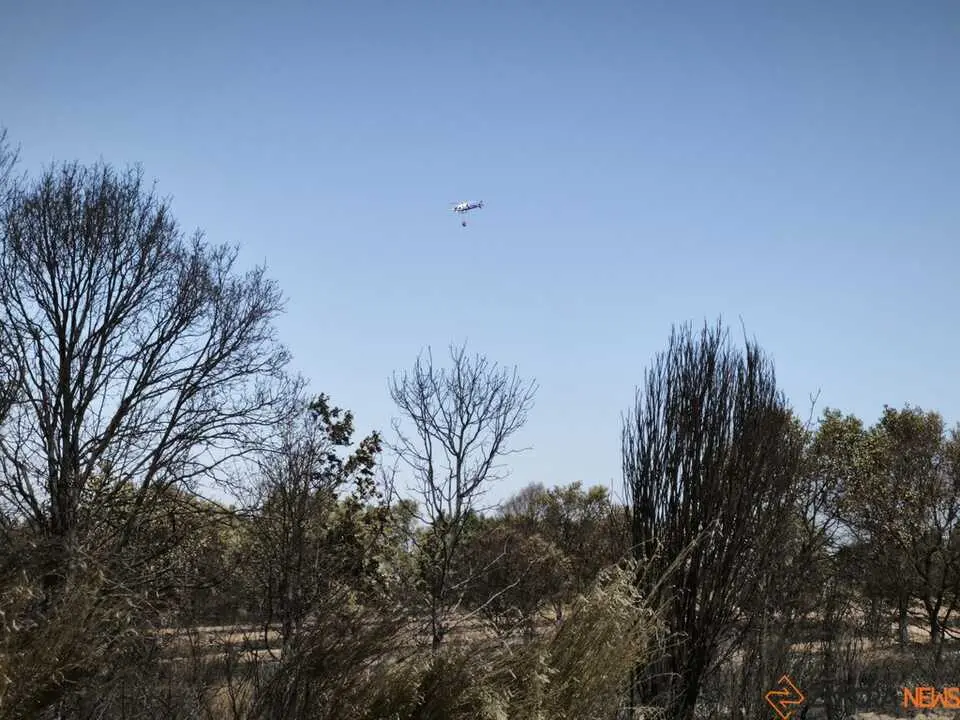 incendio forestal R&aacute;bano de Aliste _6