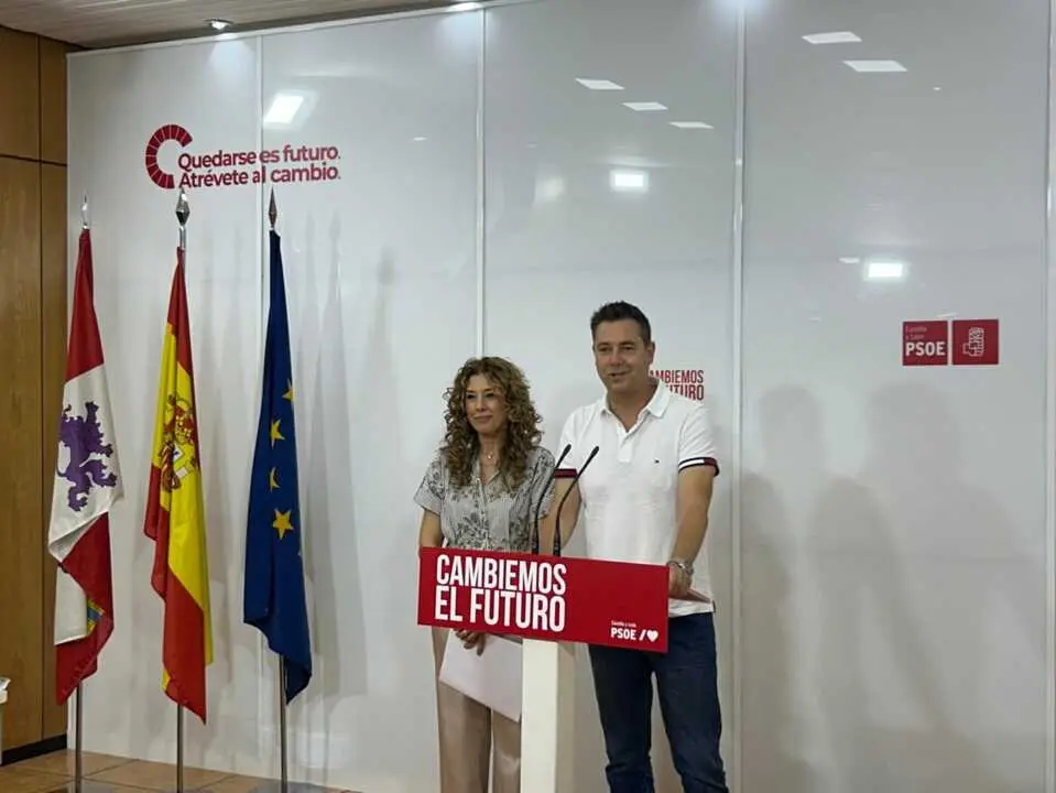 El secretario de Organizaci&oacute;n del PSOECyL de Castilla y Le&oacute;n, Daniel de la Rosa, y la portavoz socialista de Sanidad en las Cortes