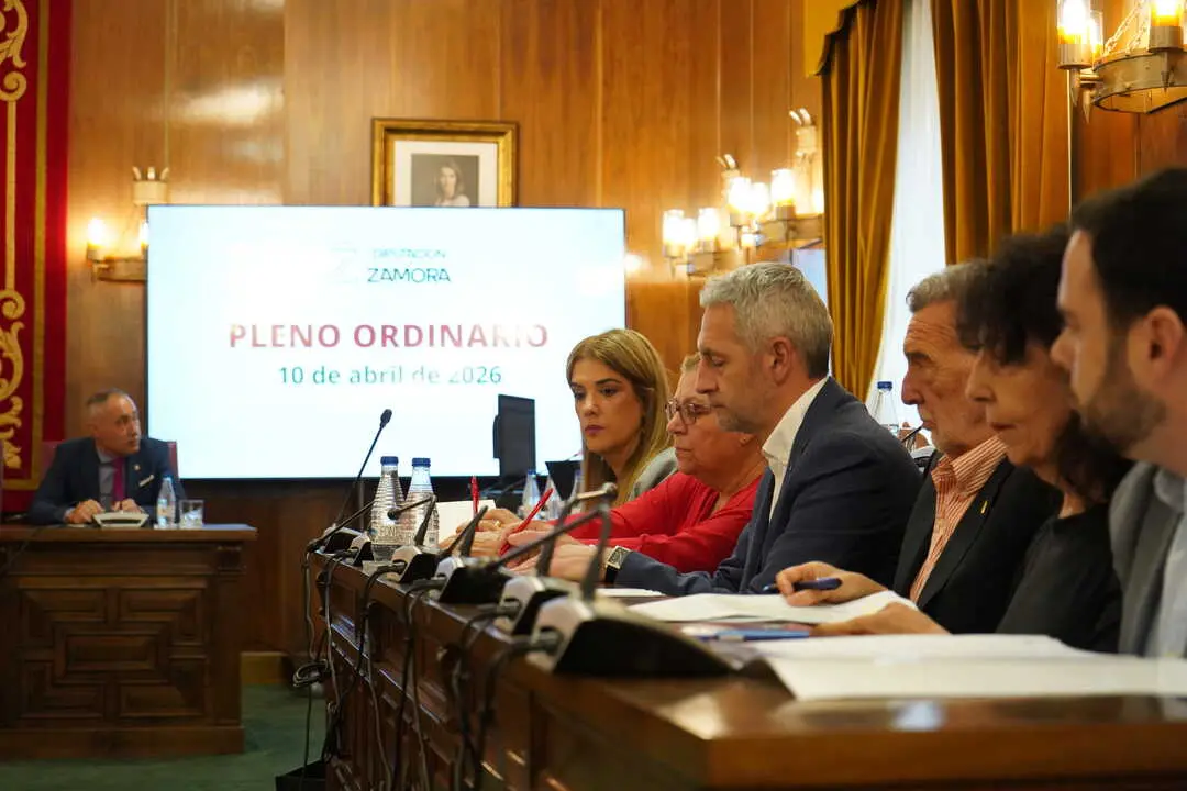 Grupo Socialista en la Diputaci&oacute;n de Zamora